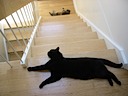 Gandalf and TC on the stairs
