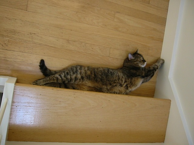 TC on the stairs
