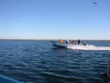Our rescuers were faster than us, too!