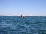 The barge gets towed off to Isla de Cedros about 20 miles offshore for shipping.  They run the cable from the tug to the barge to two ocean swell-lengths.