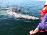 Baby flops over mom, who's on her side.