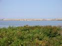 The large pond south of P-town, with dunes behind.  (1 of 3)