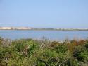 The large pond south of P-town, with dunes behind.  (2 of 3)