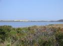 The large pond south of P-town, with dunes behind.  (3 of 3)
