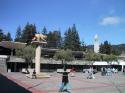 First, a visit to Berkeley.  Here's their mascot, the golden bear, and the Sather Tower in the background.