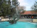 Stanford is also very beautiful in the spring...