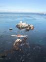 Next time we'll rent a kayak and go visiting, too.