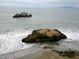 Seal rocks