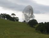 The dish