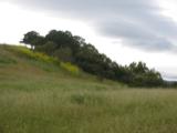 Just a hillside