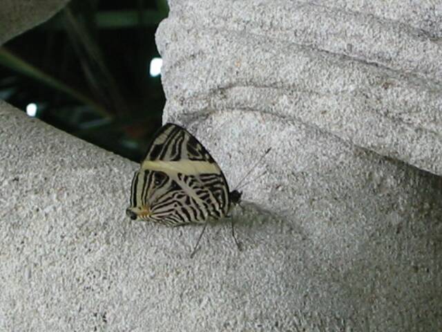 IMG_0970.jpg