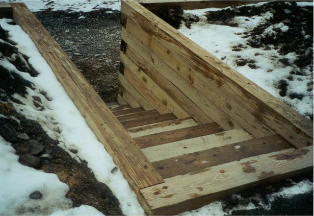 steps.jpg