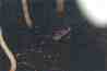 23b.JPG
 (1152.1k)
