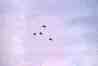 13b.JPG
 (1191.3k)