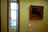 img114.jpg