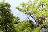 img018.jpg
