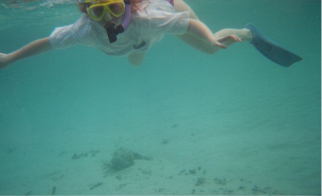 gfish1.jpg
