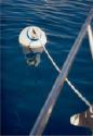 The water was so clear at the Bight at Norman Island that you could see the bottom at 60'.  We could actually see this mooring's anchor rode (disappearing in the bottom left corner of the photo) all the way down.