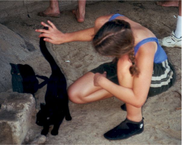acats1.jpg