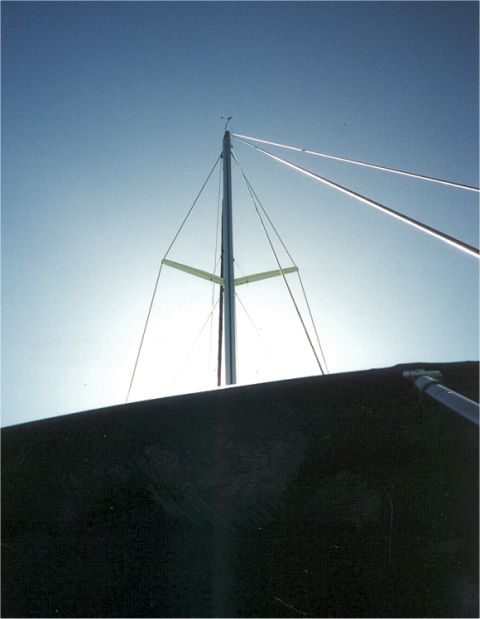 mast1.jpg