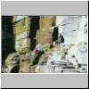 rossjess2.jpg