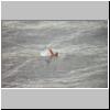swimsteve.jpg