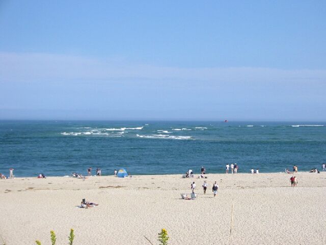 IMG_0064.jpg