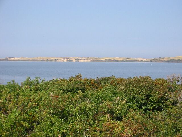 IMG_0077.jpg