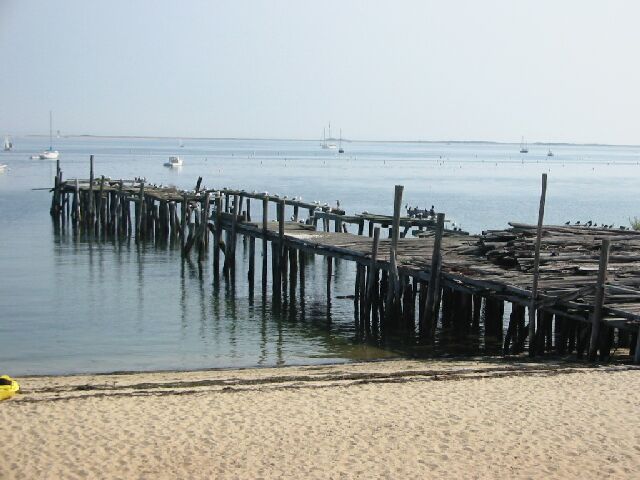 IMG_0086.jpg