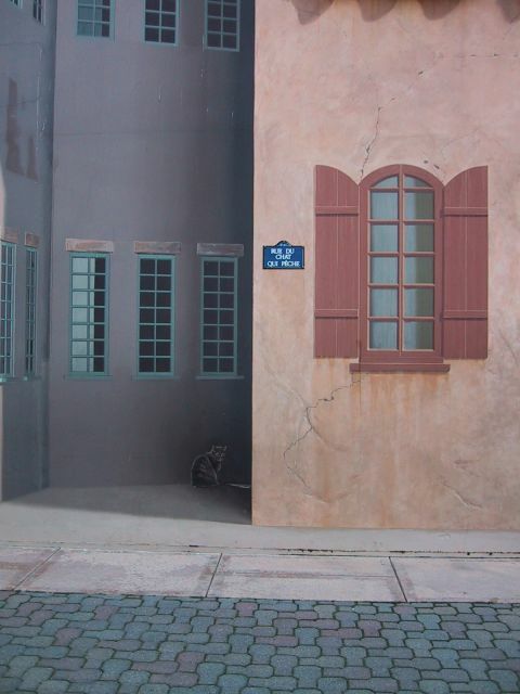 rue_du_chat_qui_peche.jpg