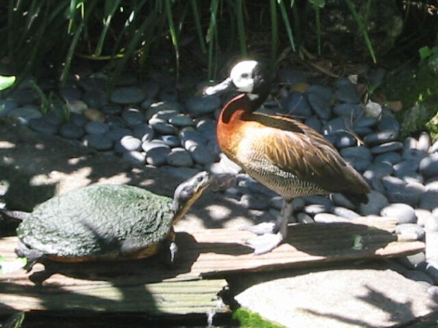 IMG_0513.jpg