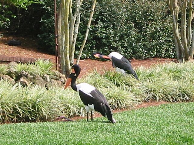IMG_0560.jpg