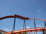 MVI_0534.jpg