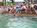Ariana and Ross greet dolphins.  Andrea is on far right.