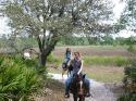 Horse ride.
