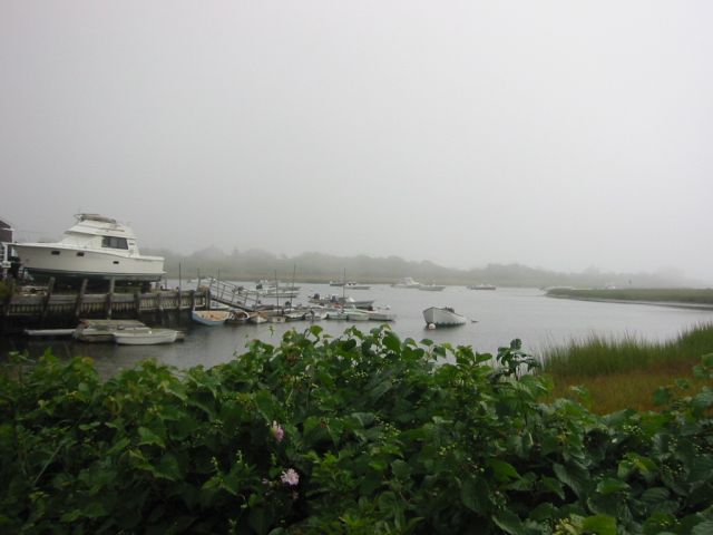 IMG_1944.jpg