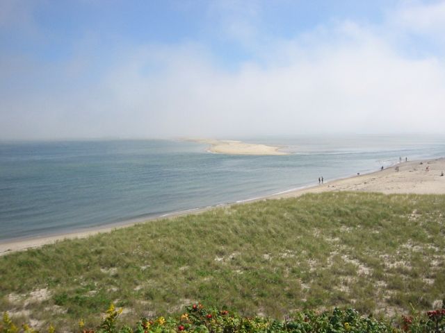 IMG_1946.jpg