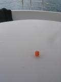 Still Life #2: Cheezball In Money Bay