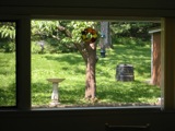 Out dining room window