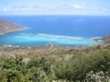 South Sound. Incredible reef -- someday must snorkel it.