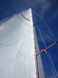 Obligatory up-the-mast photo.