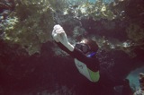 Richard emerges from coral arch.