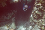 Jeannette goes through the coral arch.
