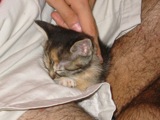 Abby in Ross's lap